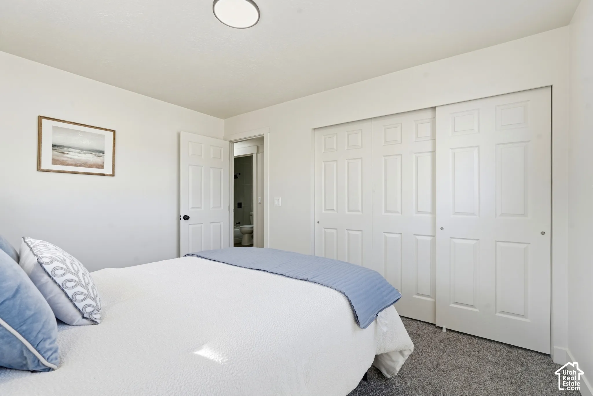 White paneled sliding closet doors, white interior door with black hardware, recessed ceiling light, and gray carpeting
