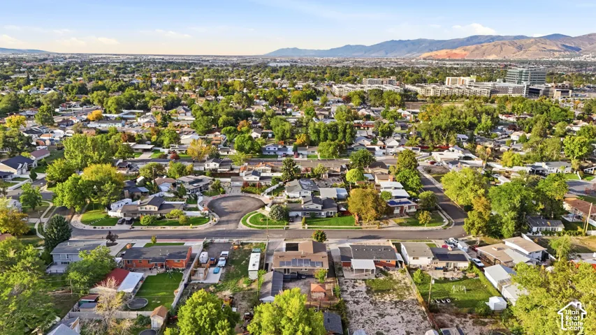 Expansive suburban landscape featuring established residential properties with mature trees and a distant mountain backdrop