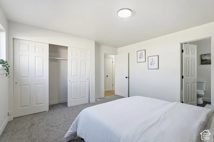 Plush carpeting, paneled interior doors, and a built-in closet with shelving and hanging rod