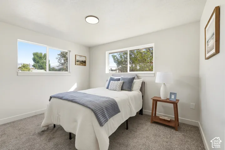 Bright room featuring two windows, neutral carpeting, and a flush-mount ceiling light