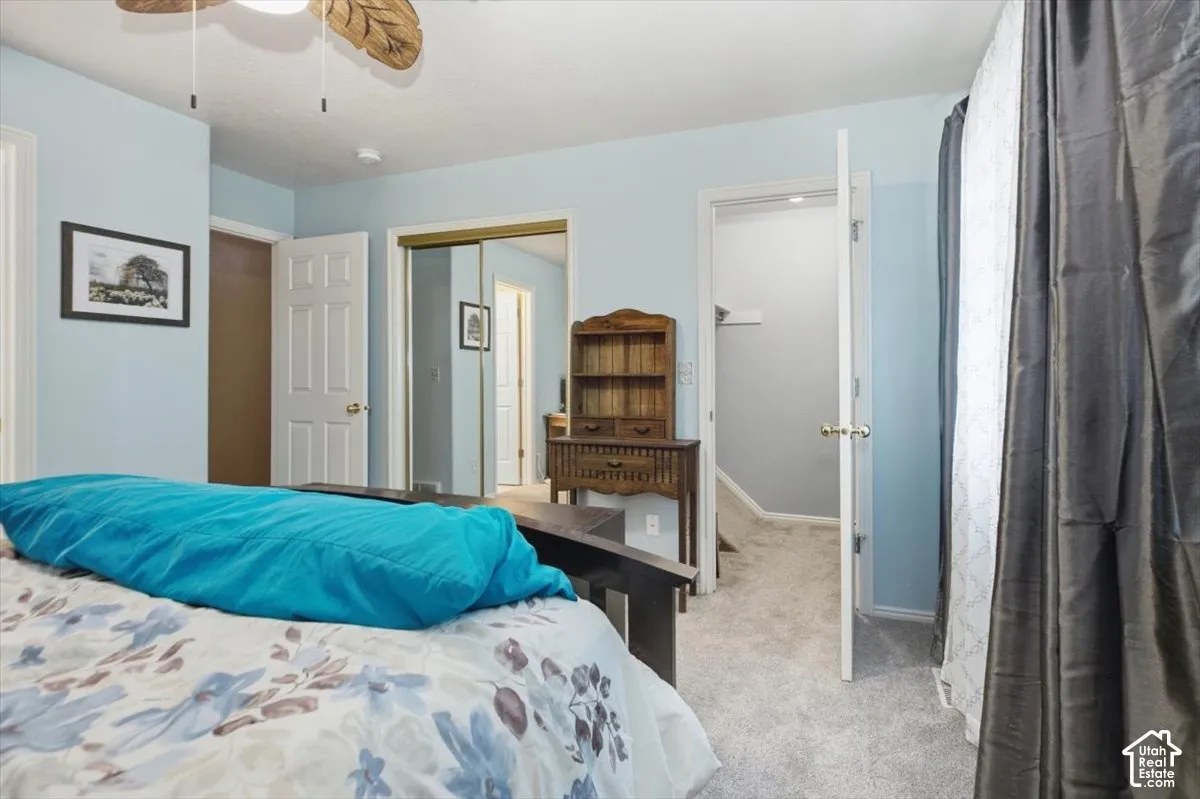 Carpeted flooring, light blue wall paint, wood-finish ceiling fan, white paneled doors, and mirrored closet doors