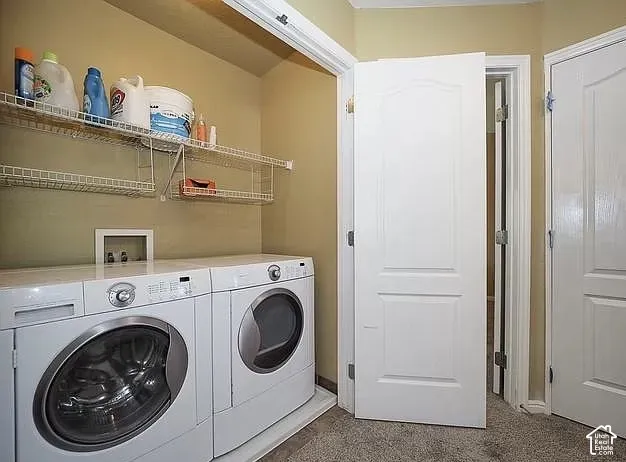 Front-loading laundry appliances with wire shelving and a textured carpeted floor