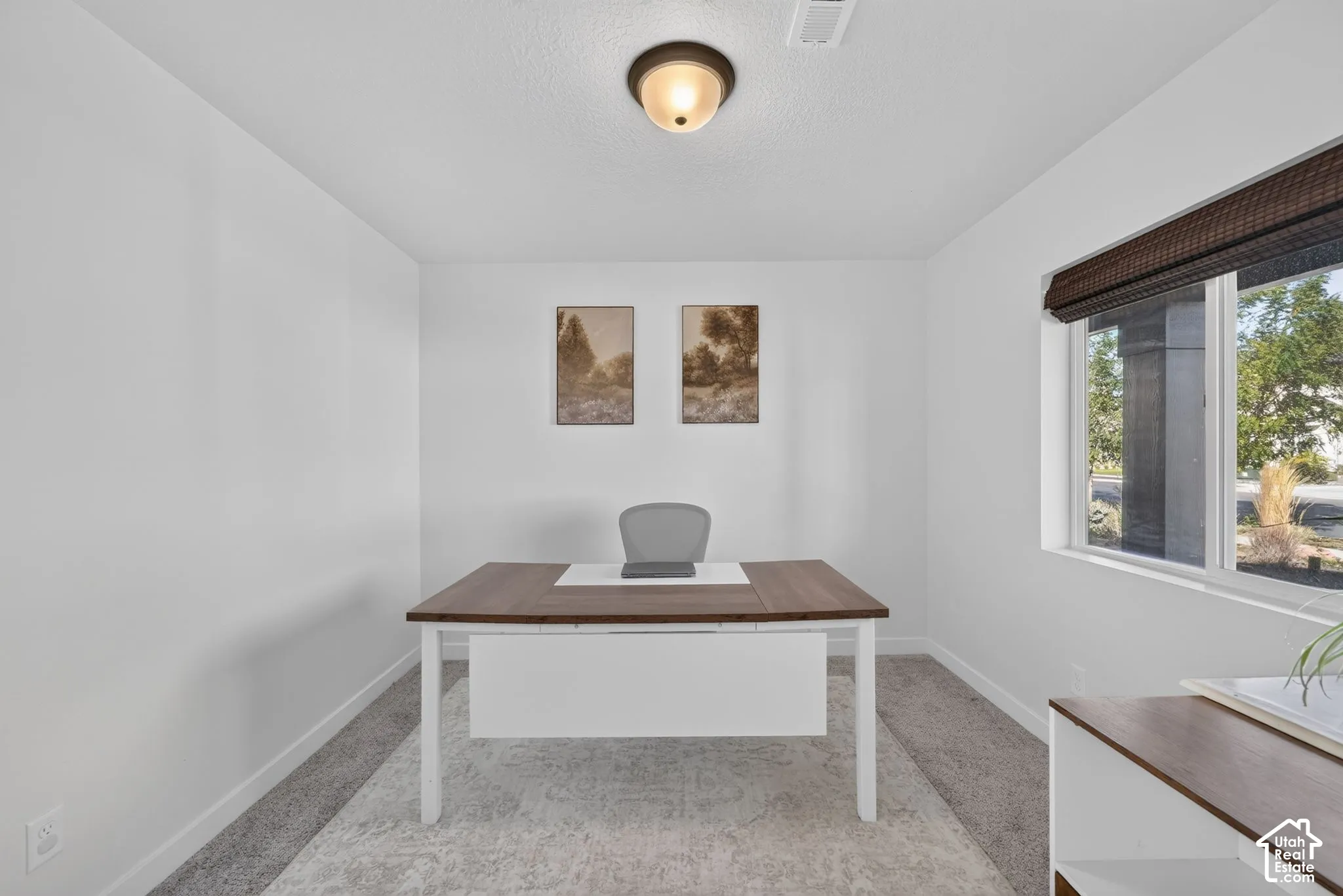 Neutral-toned carpeting, white painted walls, and a large window with a woven shade