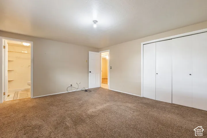 Carpeted room featuring a ceiling-mounted light fixture and white bi-fold closet doors