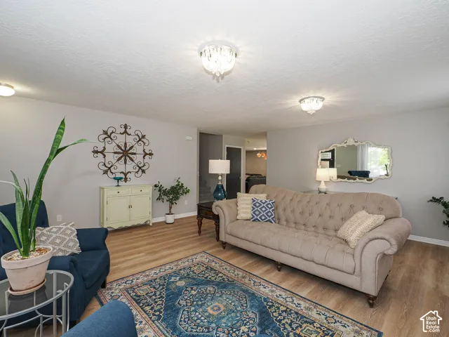 Living area featuring new LVP wood-finish flooring, fresh neutral wall paint, and two custom ceiling-mounted light fixtures.