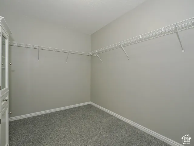 Built-in wire shelving, plush carpet, and light gray wall paint