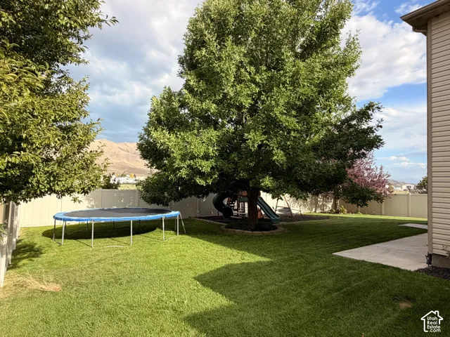 Expansive green lawn, mature trees, concrete patio, vinyl fencing, an included trampoline and swingset.