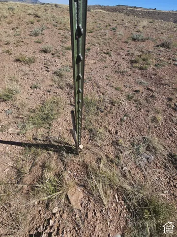 Survey Markers!