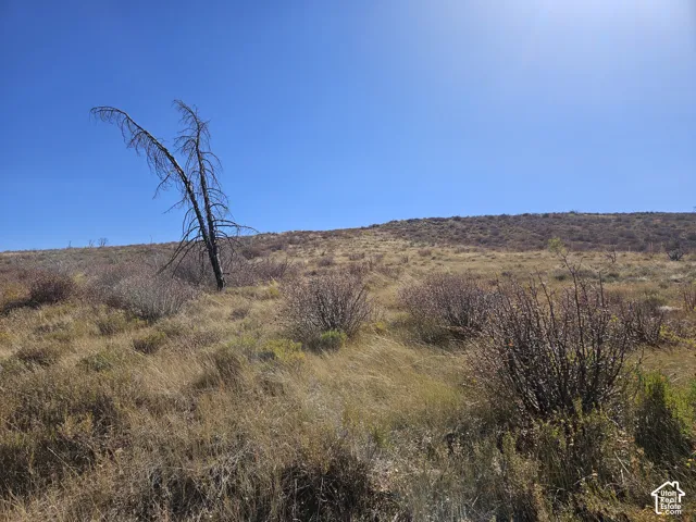 Beautiful Property Views