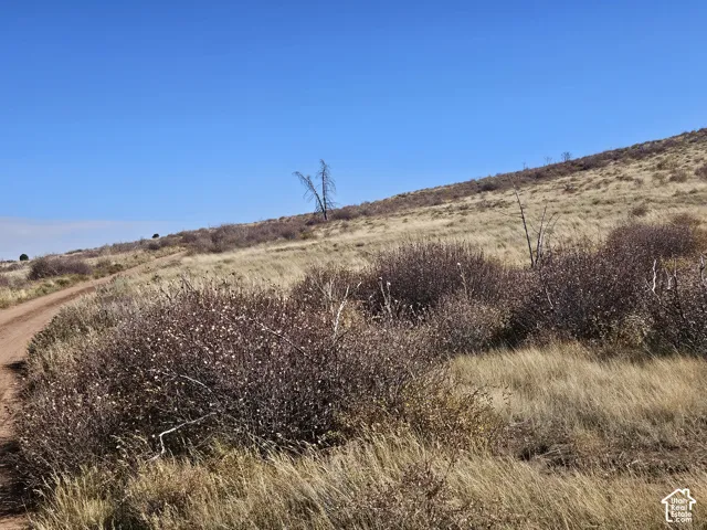 Beautiful Property Views
