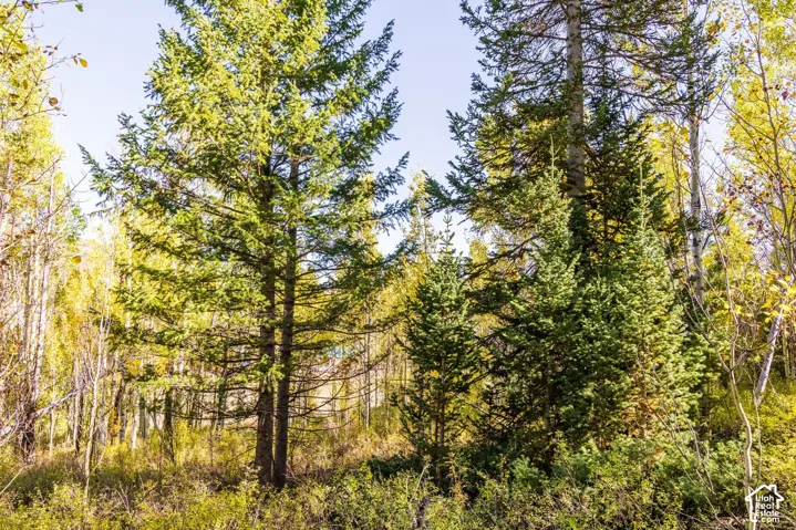 4635 Sugar Pine Dr, Oakley, Utah 84055