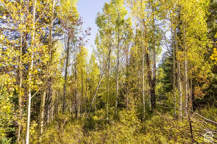 4635 Sugar Pine Dr, Oakley, Utah 84055