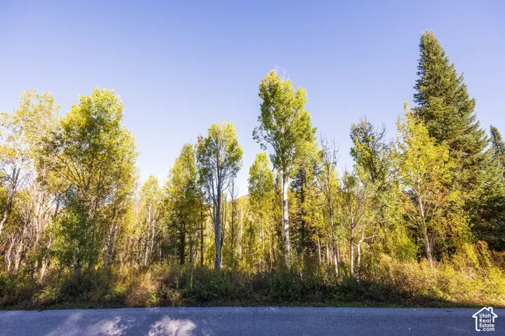 4635 Sugar Pine Dr, Oakley, Utah 84055