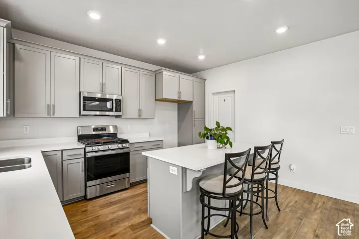 Light gray cabinetry, white countertops, stainless steel appliances, kitchen island, and wood-finish flooring