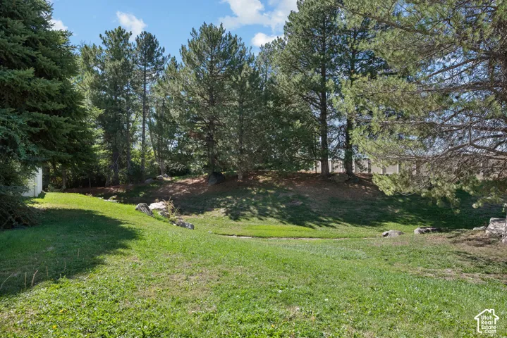 Expansive grassy yard with mature evergreen trees and natural stone accents