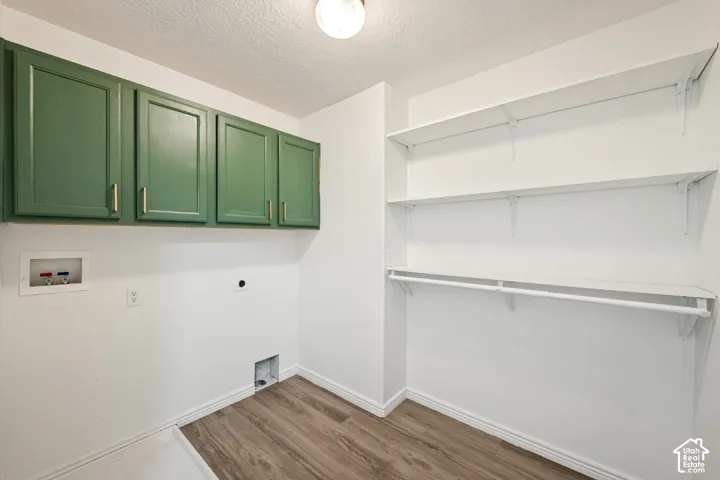 Built-in green cabinetry with gold-finish hardware, wood-finish flooring, and white wall-mounted shelving with a hanging rod