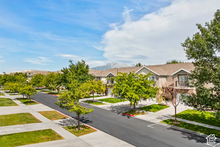 Established residential neighborhood featuring well-landscaped streetscape with mature shade trees, manicured lawns, and clean asphalt street frontage