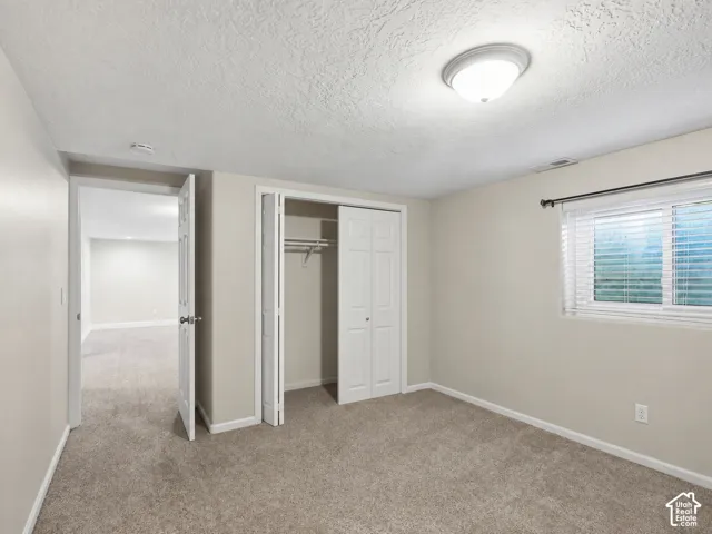 Carpeted flooring, bi-fold closet doors, window with blinds, ceiling-mounted light fixture, and neutral wall tones