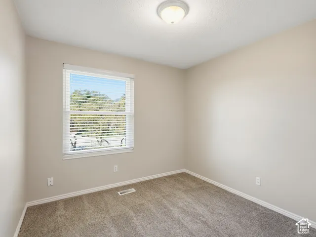 Neutral tone wall paint, window with blinds, carpeted flooring, and a ceiling-mounted light fixture