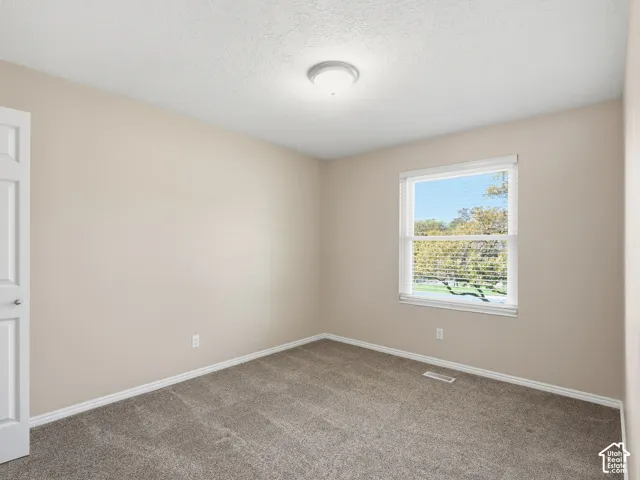 Neutral tone wall paint, textured ceiling, window with blinds, and plush carpet flooring