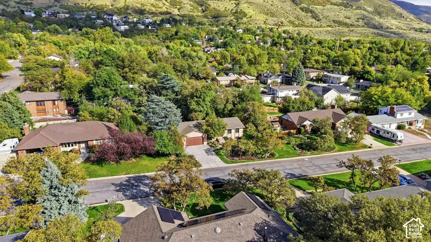 Expansive residential area with mature trees and a distant mountainous backdrop