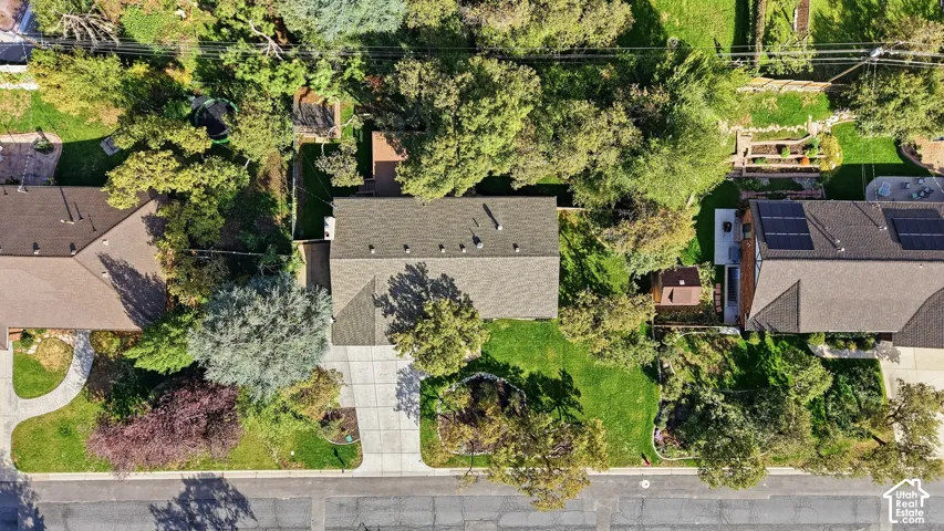 Front yard featuring a manicured lawn, established landscaping, and a concrete driveway