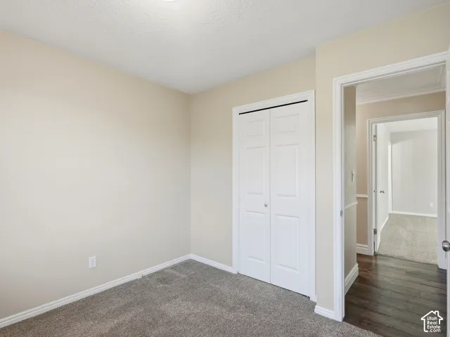 Neutral wall paint, textured ceiling, bi-fold closet doors, carpeted flooring, and white trim