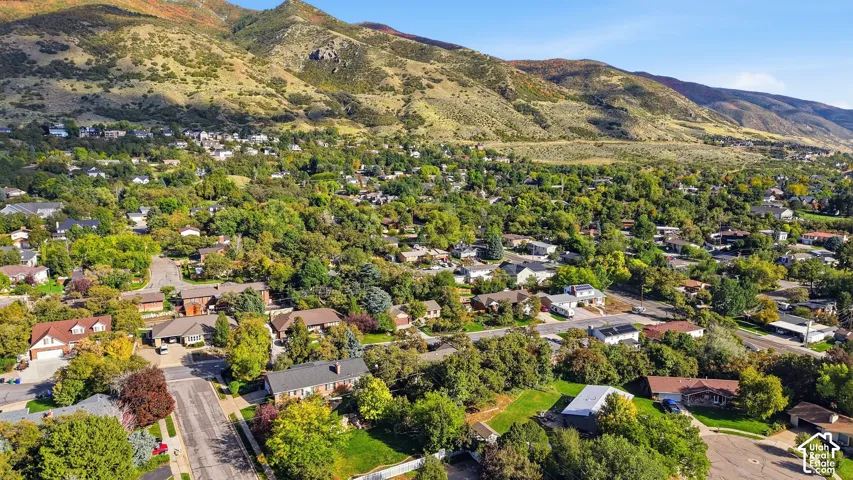 Residential community with extensive tree coverage and mountainous terrain backdrop