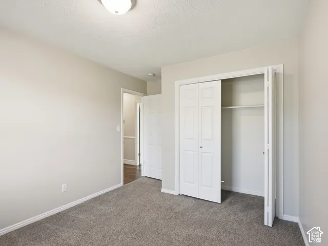 Gray textured carpeting, neutral wall paint, and bi-fold closet doors with white trim