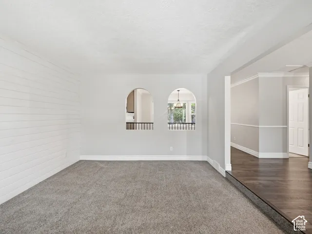 Shiplap accent wall, arched openings, carpeted flooring, dark wood-finish flooring, white trim details