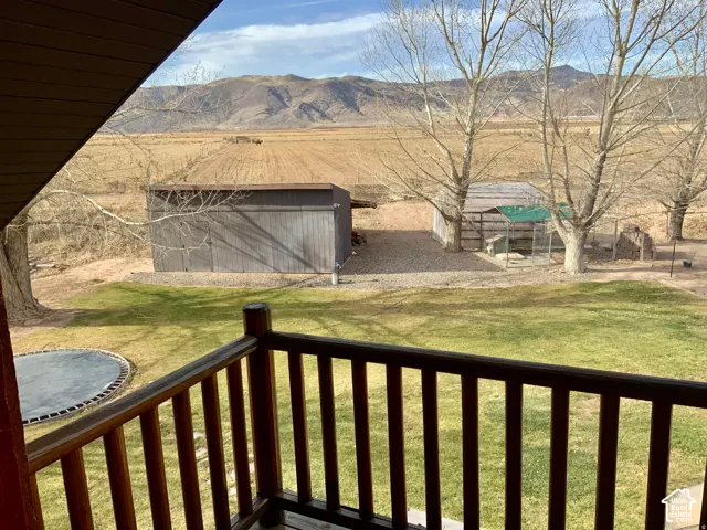 Expansive lawn area, detached storage shed, and additional outbuilding with covered enclosure