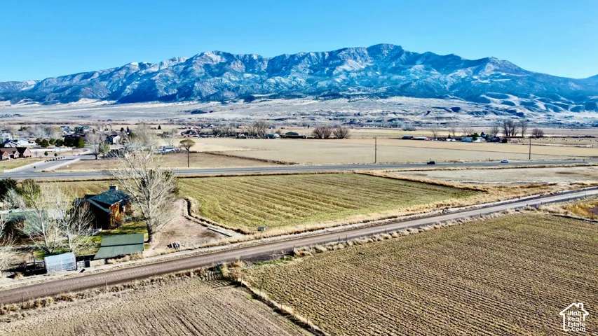 Expansive agricultural acreage with productive irrigated fields, mature tree line bordering the property, and direct road frontage