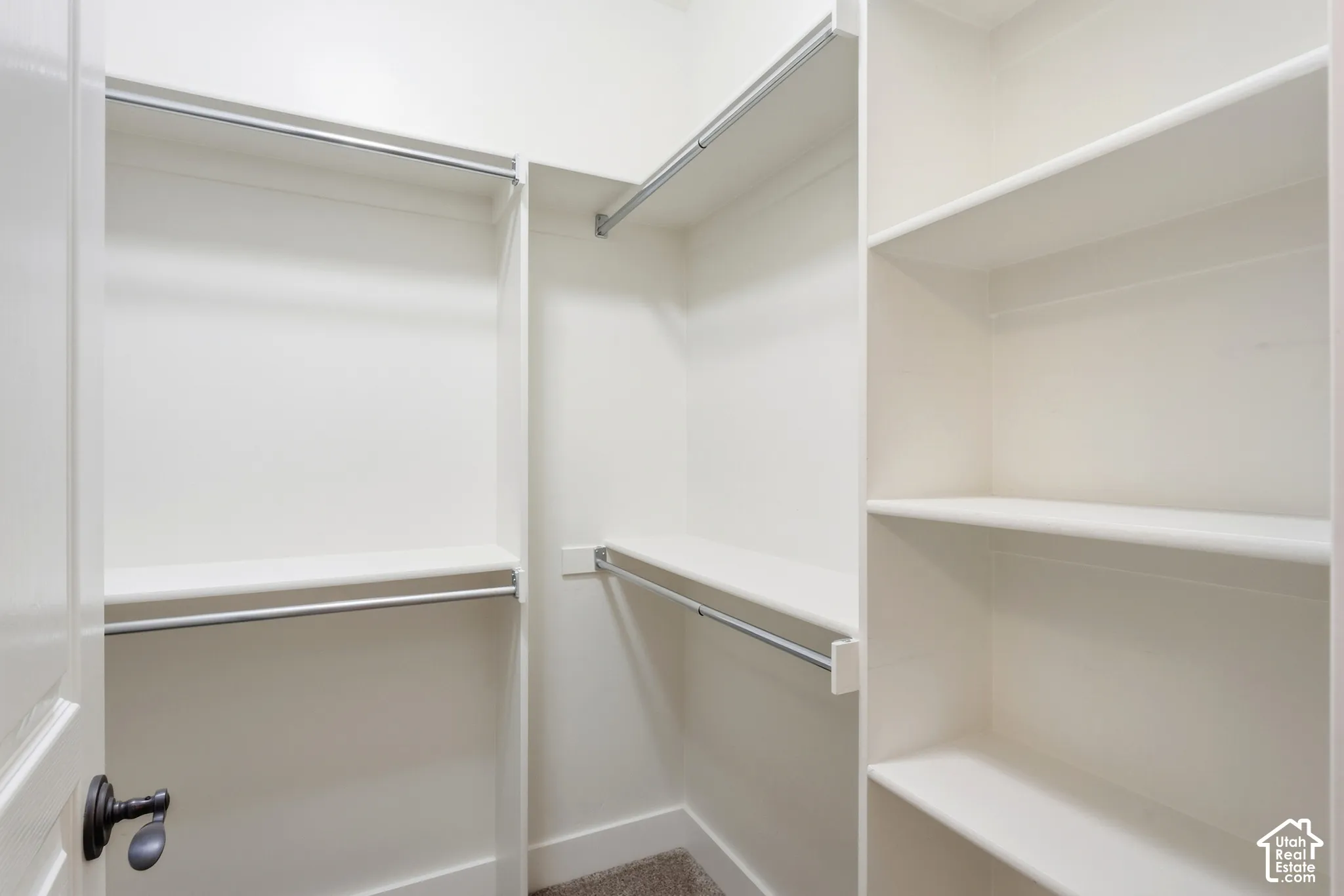 Built-in shelving, chrome hanging rods, and an interior door with dark hardware