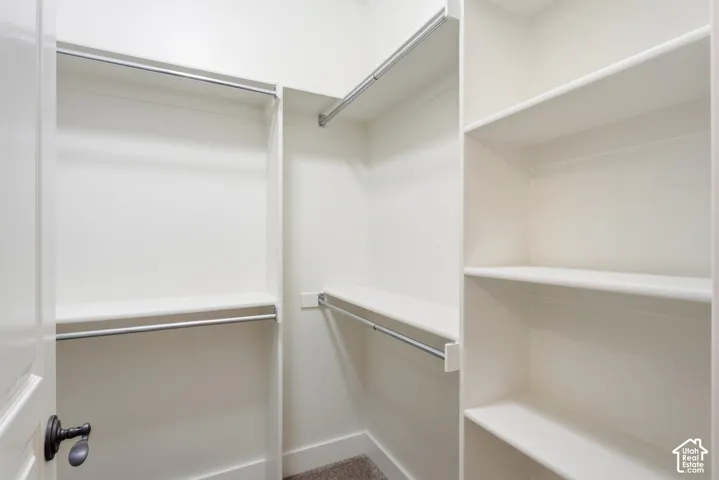 Built-in shelving, chrome hanging rods, and an interior door with dark hardware