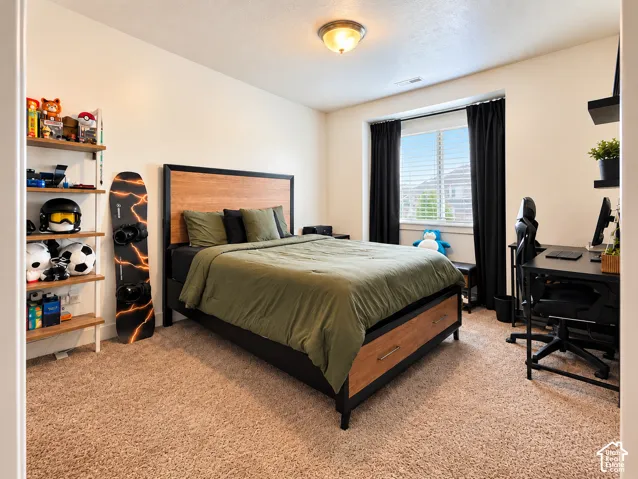 Wall-to-wall carpeting and a ceiling-mounted light fixture