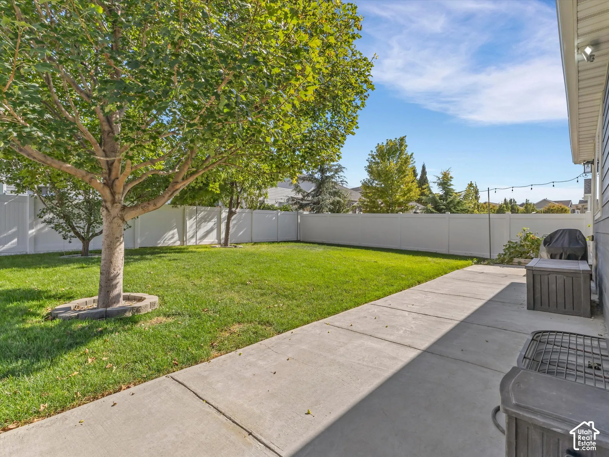 Expansive grassy yard with mature trees, defined by a privacy fence and a concrete walkway
