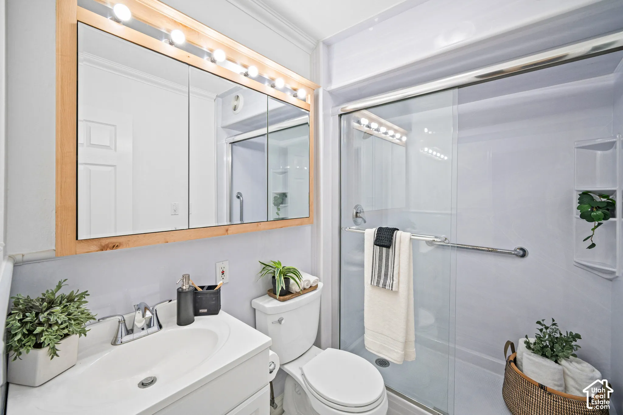 Bathroom featuring a single-sink vanity with chrome fixtures, a wood-framed medicine cabinet with integrated lighting, a toilet, and a glass-enclosed shower with a grab bar