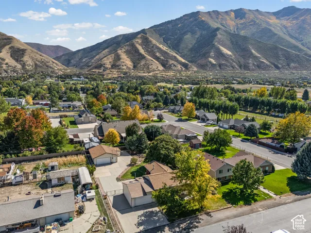 Expansive neighborhood setting with mature trees and mountain backdrop