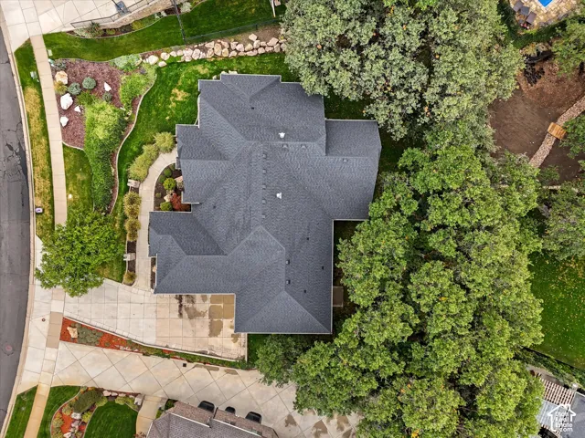 Pitched roofline with dark shingles, mature trees, concrete driveway, and landscaped rock garden
