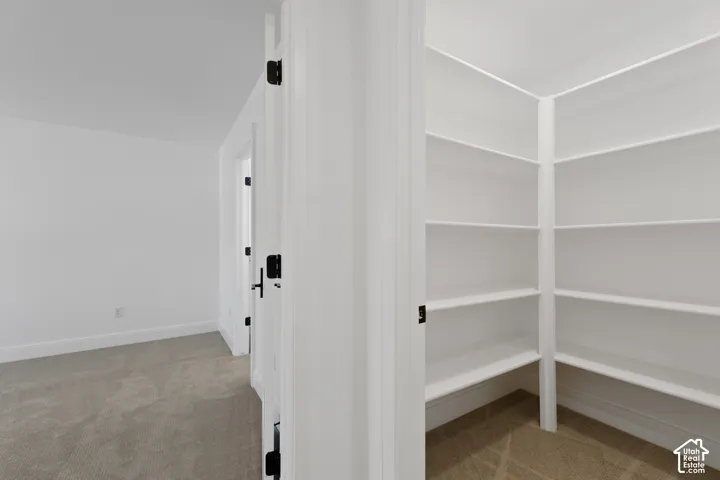 Walk-in pantry featuring built-in shelving, white walls, and carpet flooring