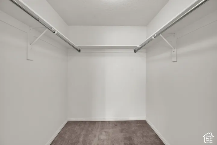 Walk-in closet with carpet flooring, white walls, and built-in shelving and hanging rods