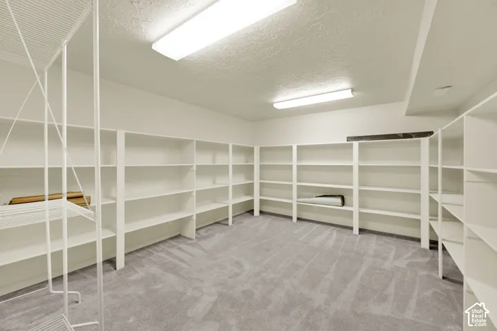 Extensive built-in shelving, plush carpeting, and integrated overhead lighting