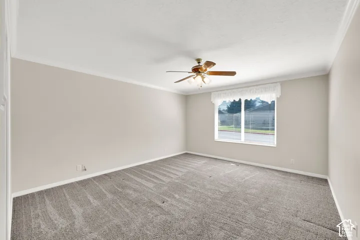 Master bedroom with neutral wall finishes, plush carpeting throughout, ceiling fan with integrated lighting, and large double-hung window with natural light and exterior visibility