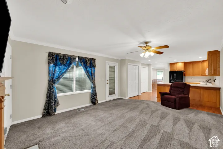 Broadloom carpeting, crown molding, double-door closet, wood-finish cabinetry, and a ceiling fan with integrated lighting