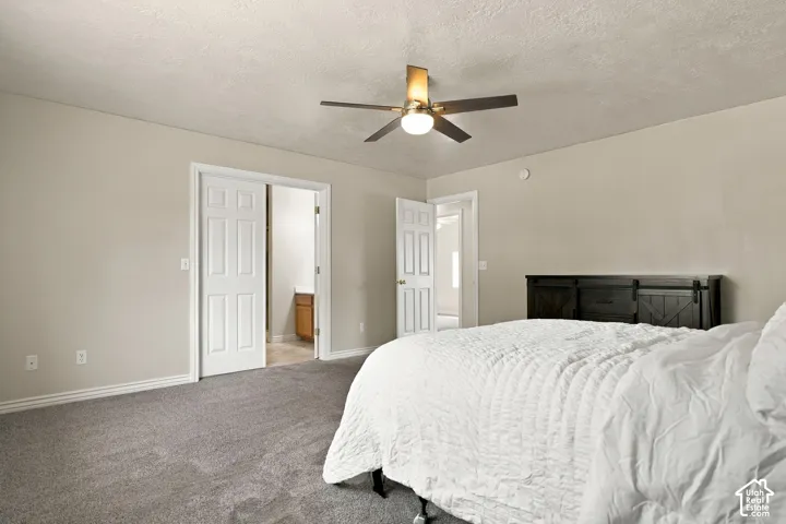Neutral wall color, ceiling fan, and carpet flooring