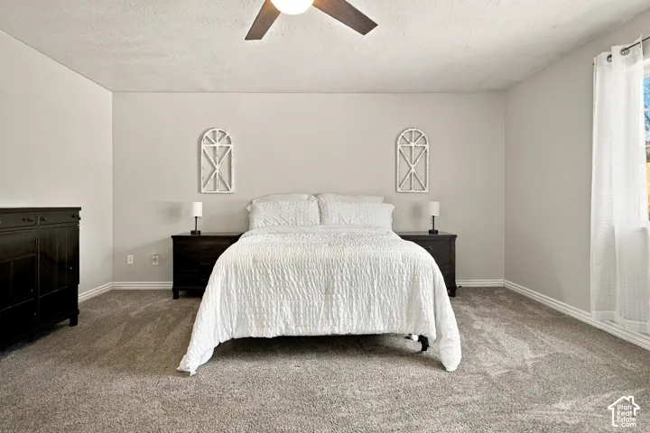 Neutral tone walls complement the textured carpeting