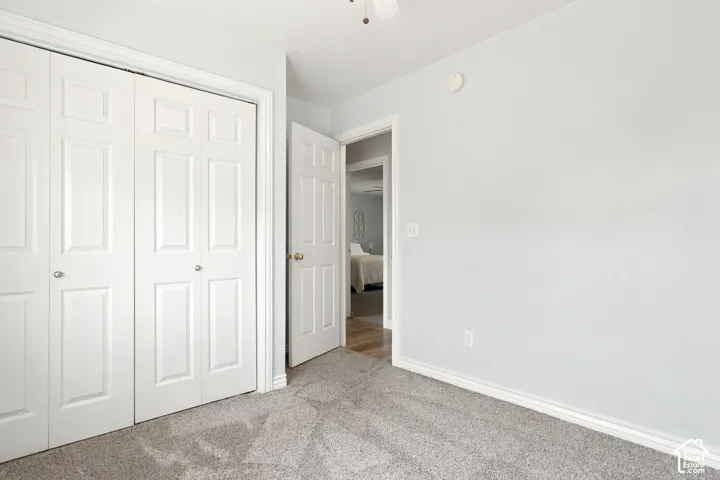 Carpeted room featuring bi-fold doors, white trim, and a ceiling-mounted light fixture