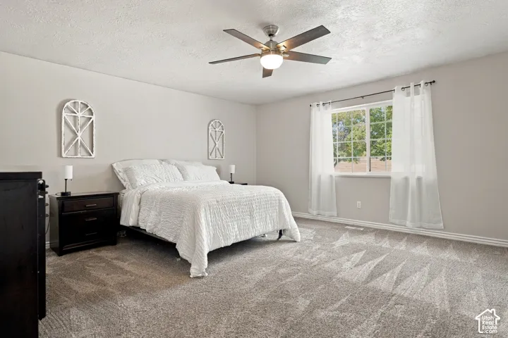 Spacious room featuring neutral-toned walls, a large window, and light-colored carpet flooring