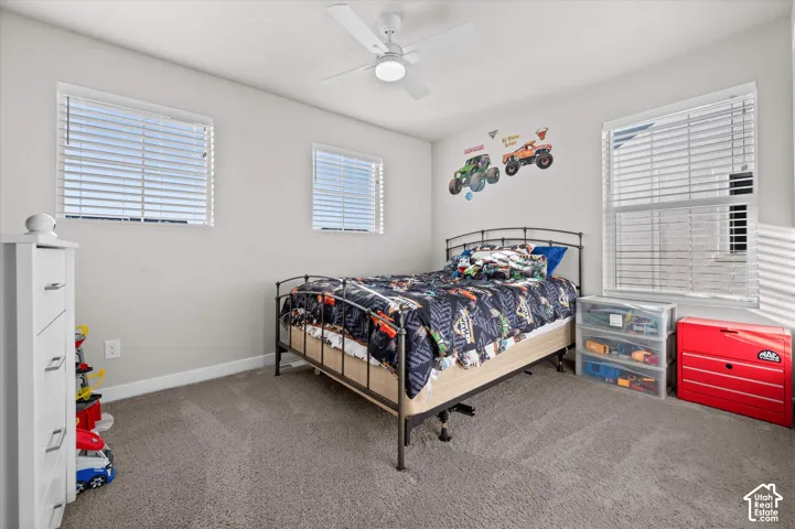 Spacious bedroom featuring neutral wall finishes, carpet flooring, and abundant natural light from multiple windows with plantation shutters