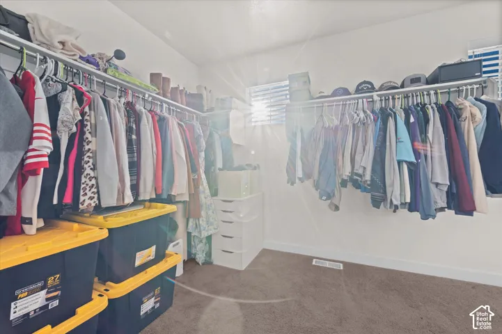 Walk-in closet featuring carpet flooring, built-in shelving, and a window with horizontal blinds